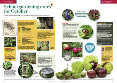 School Gardening Notes