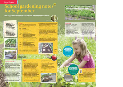 School Gardening Notes